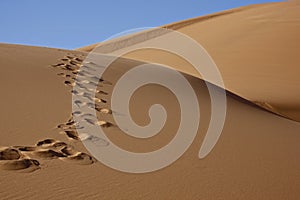 Footprints in desert sand