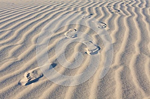 Footprints in the desert sand