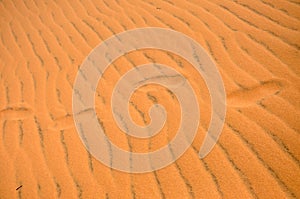 Footprints in the desert sand