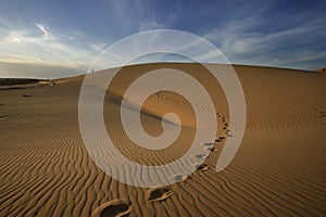 Footprints on desert sand dune