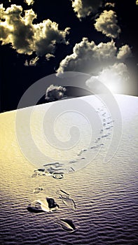 Footprints in desert White Sands New Mexico