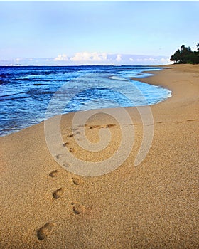 Footprints on a Deserted Beach