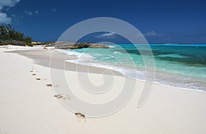 Footprints on the desrt beach