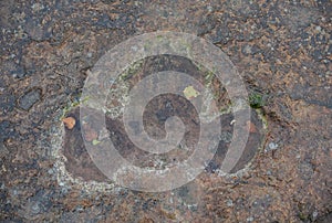 The footprints of dinosaur on a stone