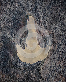 The footprints of dinosaur on a stone