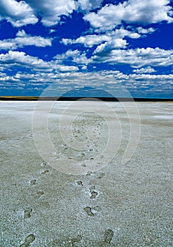 Footprints on the dried bottom of the Kuyalnitsky estuary, covered with a layer of self-precipitating salt
