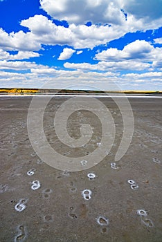Footprints on the dried bottom of the Kuyalnitsky estuary, covered with a layer of self-precipitating salt