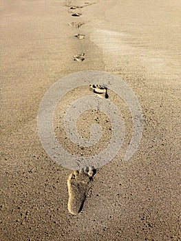 Footprints Explore Beach Sand Vertical layout