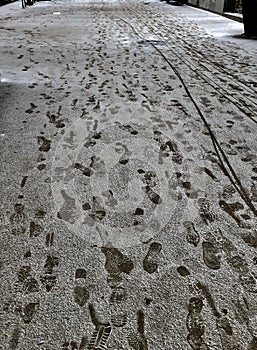 Footprints on Fresh Fallen Snow
