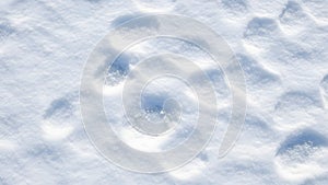 Footprints in Fresh Snow, Winter Texture Background Image