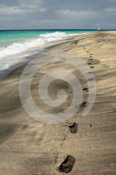 Footprints on the golden and black sand. Santa Maria beach. Sal island. Cape Verde