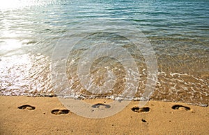 Footprints at golden sand, footsteps. Tropical beach with sea sand on summer vacation.