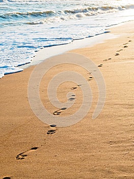 footprints on golden sand by the sea