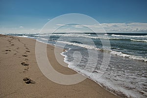 Footprints guiding path along the beach photo