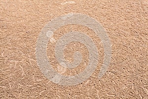 Footprints on horizontal landscape hole of Ocypode ceratophthalma crab on a sandy beach use for background