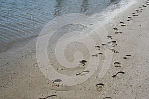 Footprints of Jesus photo