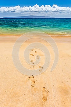 Footprints Leading To Paradise