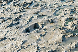 Footprints in medical mud