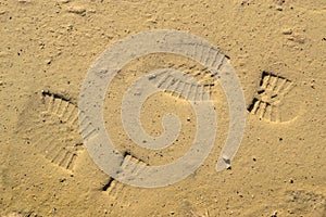 Footprints on the mud photo