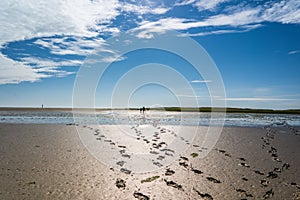 Footprints in the mudflats photo