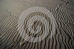 Footprints in natural sand