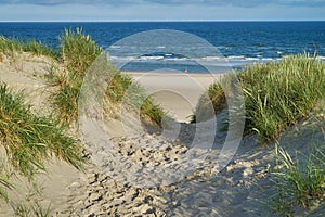 Sand dunes at the Danish North Sea Coast at Vejers Strand in beutiful morning sunlight