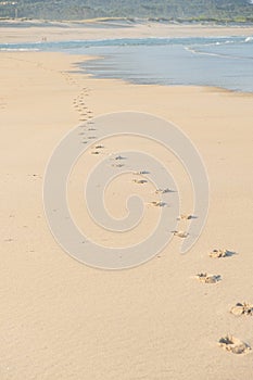 footprints of a person in the wet sand on the shore of a beach, holidays concept