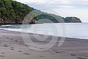 Footprints on Playa Matapalo photo