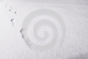 Footprints in pure snow - Stock Image