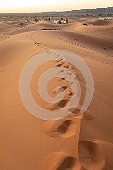 Footprints in the sahara desert sand. Morocco