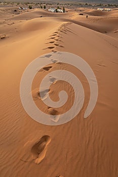 Footprints in the sahara desert sand. Morocco