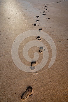 Footprints in the sand