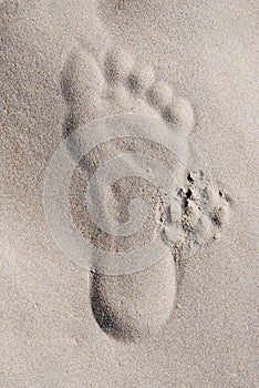 Footprints in the sand