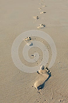 Footprints in sand