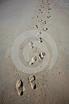 Footprints in the sand