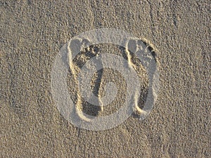 Footprints in the sand