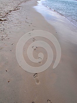 Footprints in the Sand