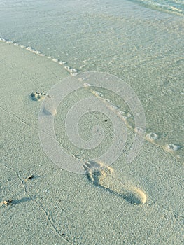 Footprints in the sand