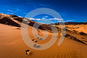 Footprints in the sand. alone in the desert photo