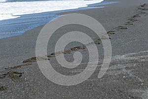 Footprints in the sand along the beach