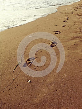 Footprints in the sand as the tide recedes