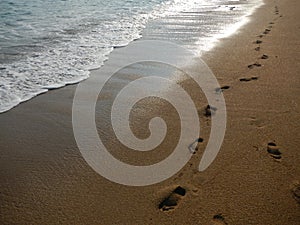 Footprints in the sand