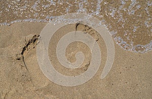 Footprints on sand on the beach