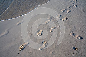 Footprints in sand on beach.