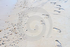 Footprints in the sand on beach