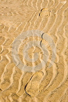 Footprints in the sand at the beach.