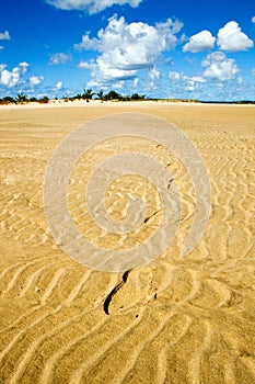 Footprints in the sand at the beach.