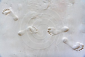 Footprints in sand at the Beach