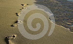 Footprints in the sand on the beach