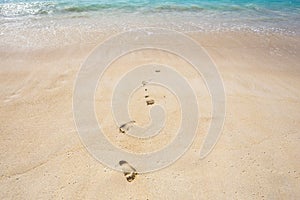 Footprints on a sand at the beach